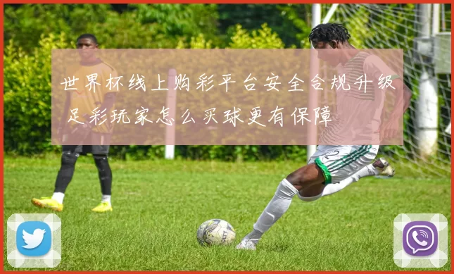 世界杯线上购彩平台安全合规升级 足彩玩家怎么买球更有保障