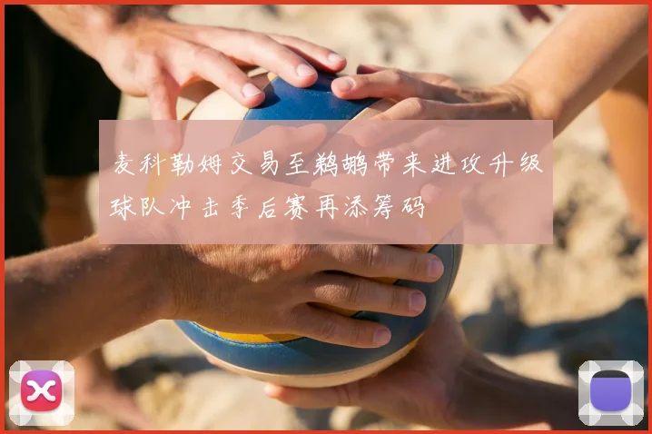 麦科勒姆交易至鹈鹕带来进攻升级球队冲击季后赛再添筹码