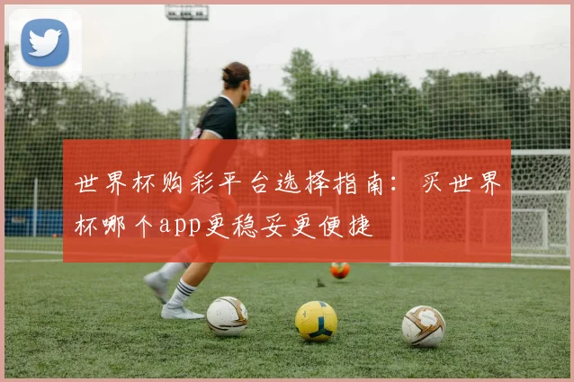 世界杯购彩平台选择指南:买世界杯哪个app更稳妥更便捷