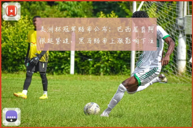 美洲杯冠军赔率公布：巴西居首阿根廷紧追，黑马赔率上涨影响下注策略