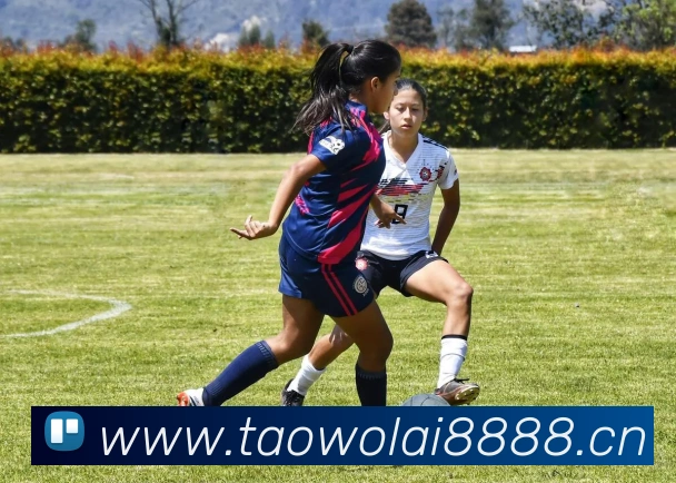 App Interface Preview